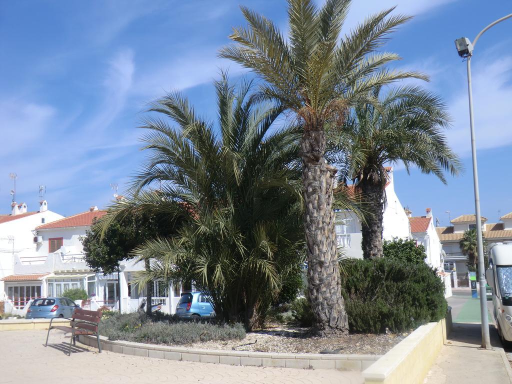 Casas Holiday - Playa La Mata 1 托雷维耶哈 外观 照片